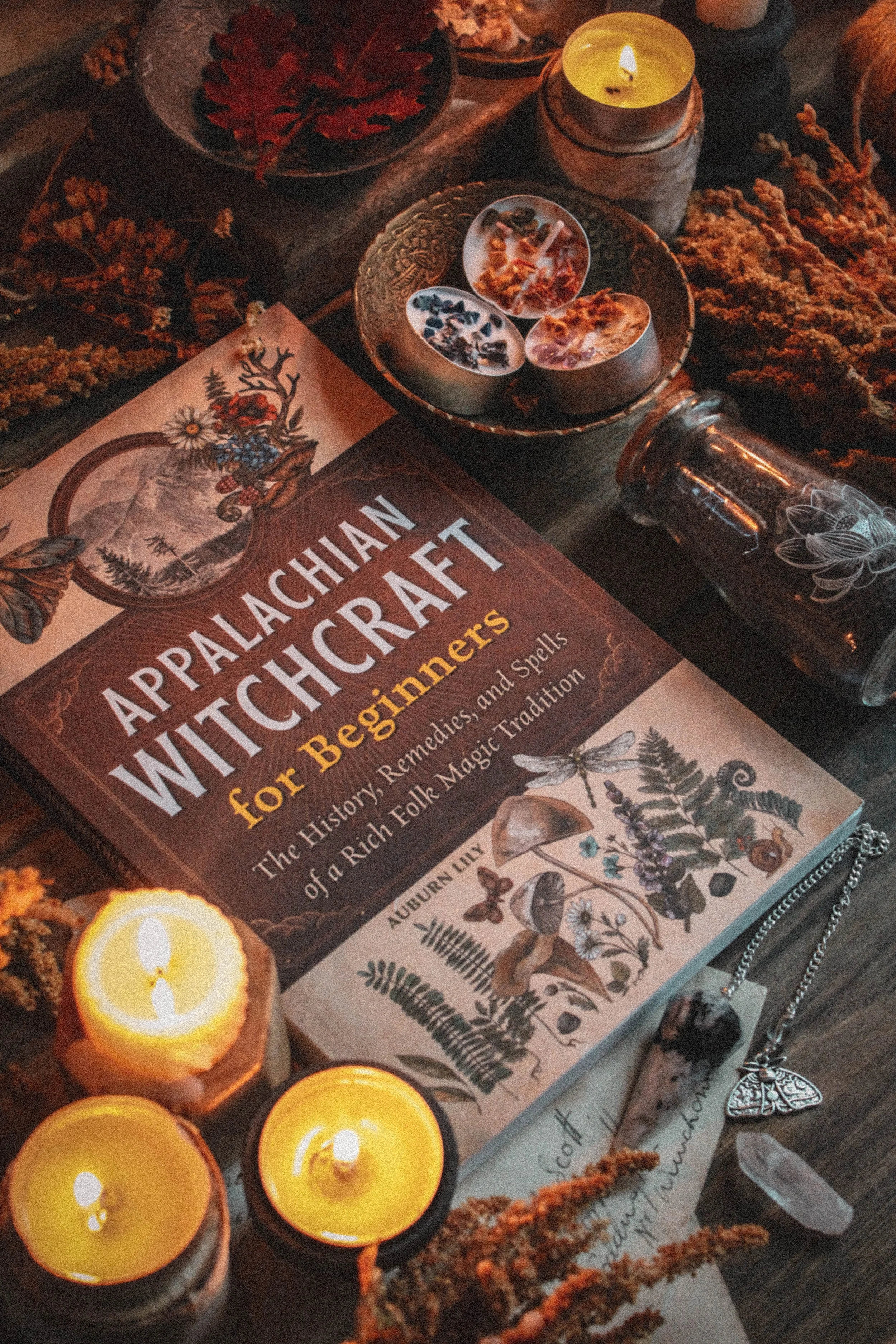 Appalachian Witchcraft for Beginners review — Spirit Element